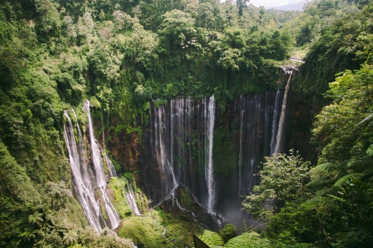 Waterfall Tumpaksewu Indonesia